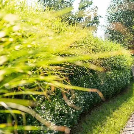 Apartment Artapart Stare Miasto Wroclaw *